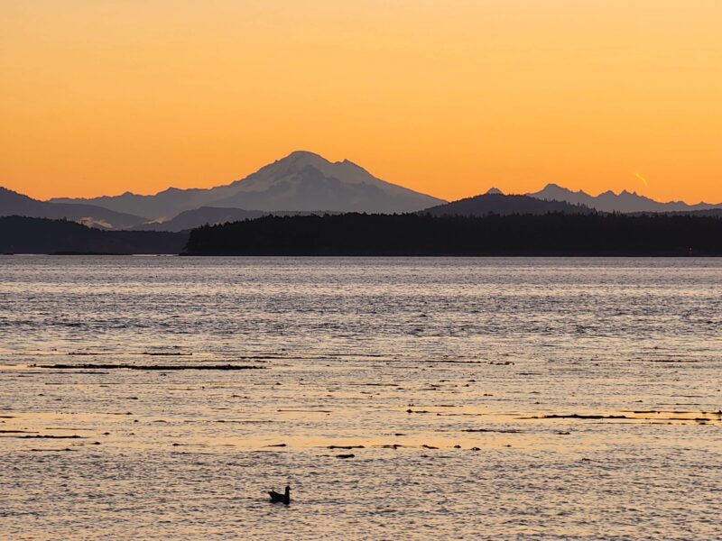 Mount Baker at sunrise across the water from Beachcomber RV Park
