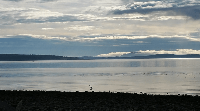 Calm water view from the Beachcomber RV Park shoreline