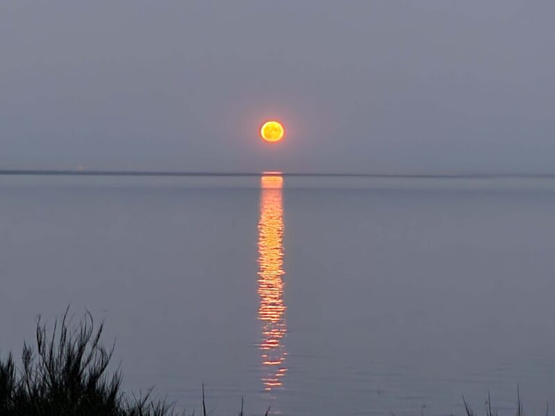 Sun reflected on calm water near Beachcomber RV Park