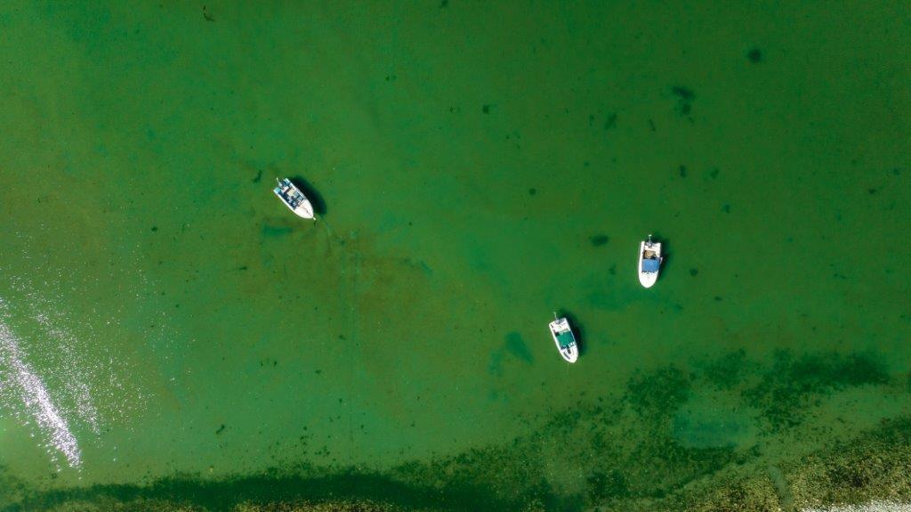 Small boats floating in clear water near Beachcomber RV Park