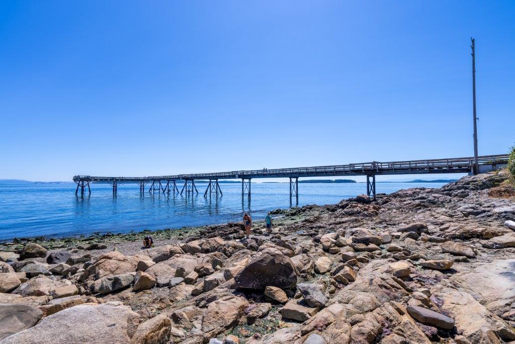 Sidney pier viewed from the shoreline