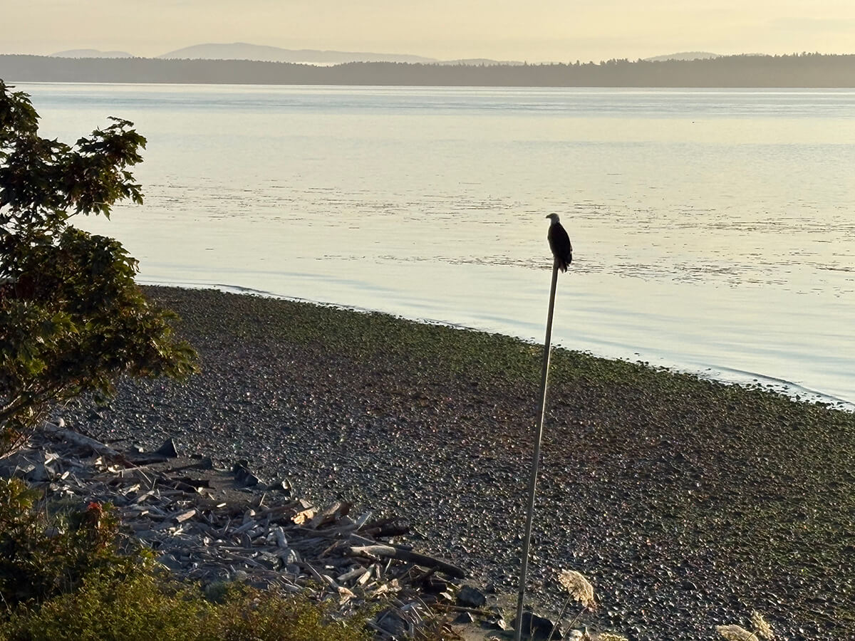 Quiet beach view near Beachcomber RV Park