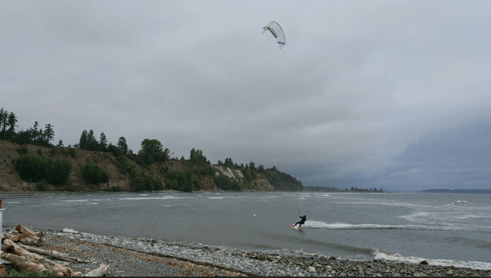 Shoreline and birds at low tide near Beachcomber RV Park