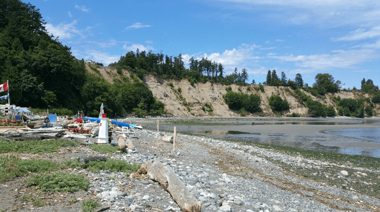 Driftwood and shoreline at Beachcomber RV Park
