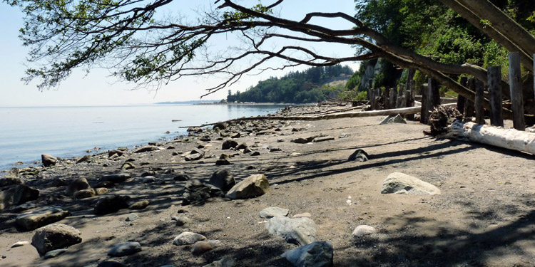 Looking south along the Beachcomber RV Park shoreline